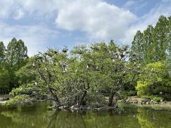 IMG_1702.jpeg