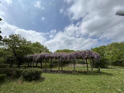 IMG_1703.jpeg